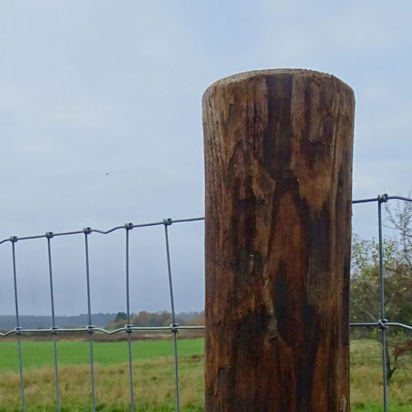 FaunaWood trästolpe med fastsatt nätstängsel i ett öppet landskap.