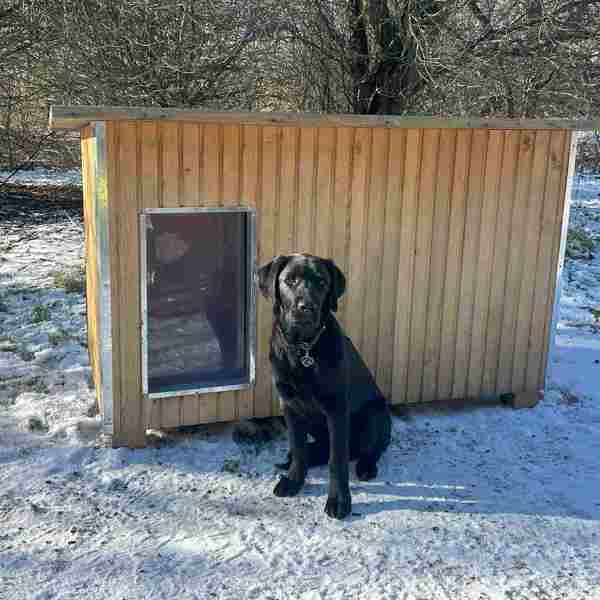 Svart hund sitter framför en hundkoja i ett vinterlandskap med snö på marken.